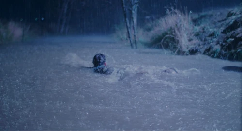 Still frame 357 from The Shawshank Redemption (1994) directed by Frank Darabont