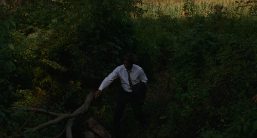 The Shawshank Redemption