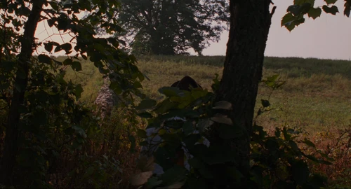 Still frame 400 from The Shawshank Redemption (1994) directed by Frank Darabont