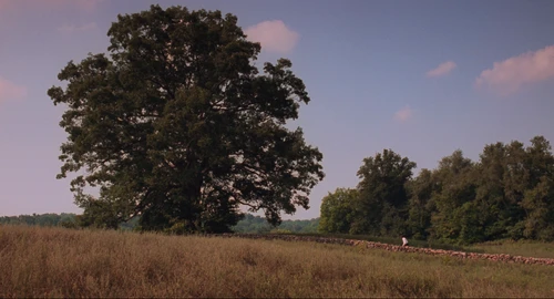 The Shawshank Redemption