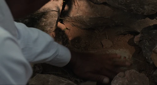 The Shawshank Redemption