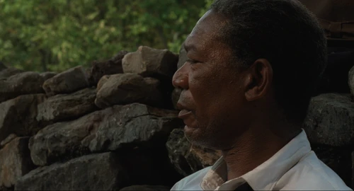 Still frame 411 from The Shawshank Redemption (1994) directed by Frank Darabont