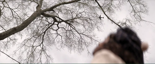 Still frame 31 from The Six Triple Eight (2024) directed by Tyler Perry
