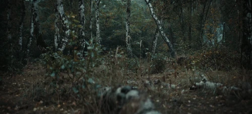 Still frame 94 from The Tiger (2025) directed by Dennis Gansel