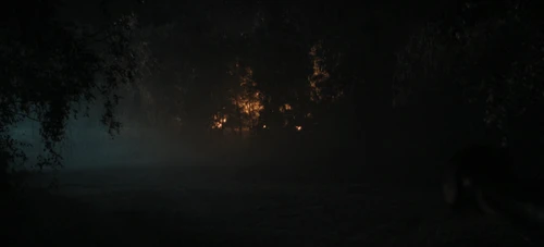 Still frame 134 from The Tiger (2025) directed by Dennis Gansel