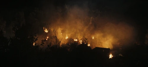 Still frame 136 from The Tiger (2025) directed by Dennis Gansel