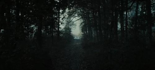 Still frame 209 from The Tiger (2025) directed by Dennis Gansel
