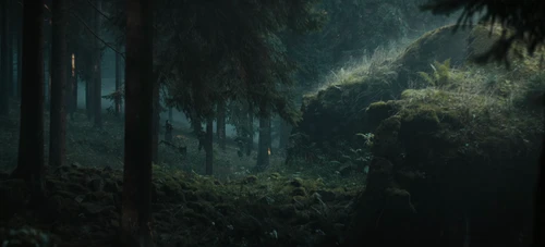 Still frame 222 from The Tiger (2025) directed by Dennis Gansel