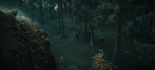 Still frame 223 from The Tiger (2025) directed by Dennis Gansel
