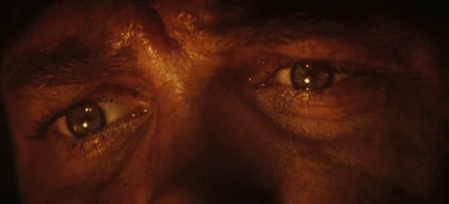 Still frame 267 from The Tiger (2025) directed by Dennis Gansel