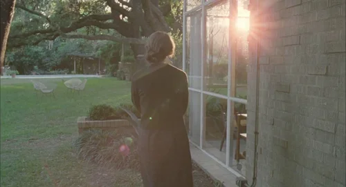 Still frame 8 from The Tree of Life (2011) directed by Terrence Malick