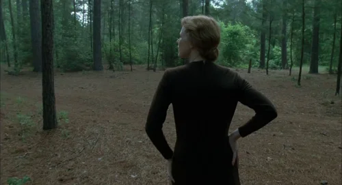Still frame 23 from The Tree of Life (2011) directed by Terrence Malick