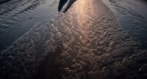 Still frame 31 from The Tree of Life (2011) directed by Terrence Malick