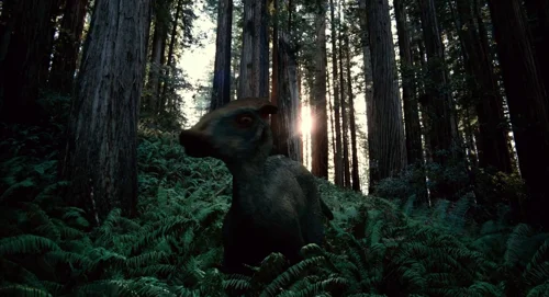 Still frame 36 from The Tree of Life (2011) directed by Terrence Malick