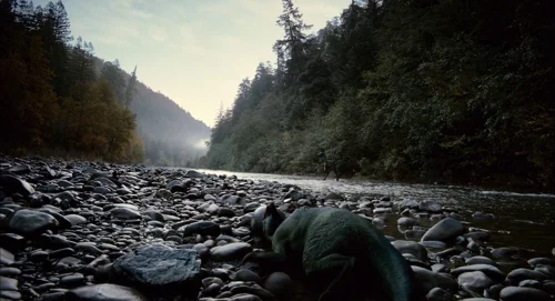 Still frame 38 from The Tree of Life (2011) directed by Terrence Malick
