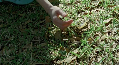 Still frame 44 from The Tree of Life (2011) directed by Terrence Malick