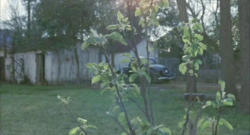 Still frame 49 from The Tree of Life (2011) directed by Terrence Malick