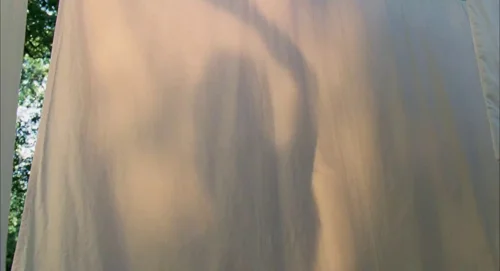 Still frame 80 from The Tree of Life (2011) directed by Terrence Malick