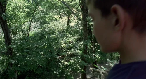 Still frame 106 from The Tree of Life (2011) directed by Terrence Malick