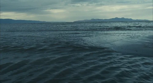 Still frame 133 from The Tree of Life (2011) directed by Terrence Malick