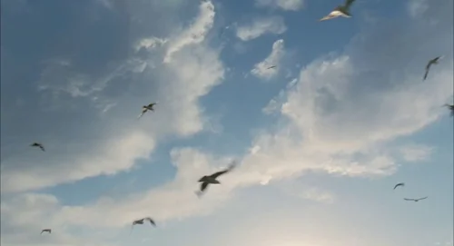 Still frame 142 from The Tree of Life (2011) directed by Terrence Malick