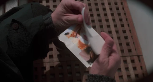 Still frame 140 from The Truman Show (1998) directed by Peter Weir