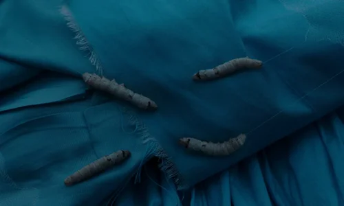 Still frame 72 from The Ugly Stepsister (2025) directed by Emilie Blichfeldt