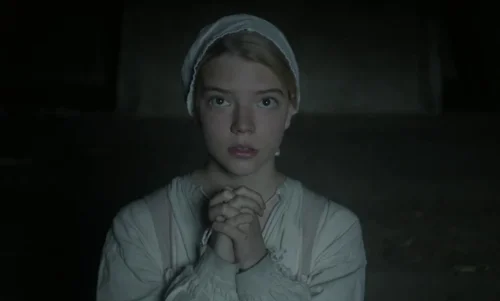 The Witch (2015) - Cinematography