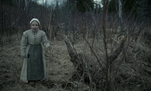 Still frame 27 from The Witch (2015) directed by Robert Eggers