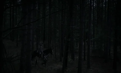 Still frame 41 from The Witch (2015) directed by Robert Eggers