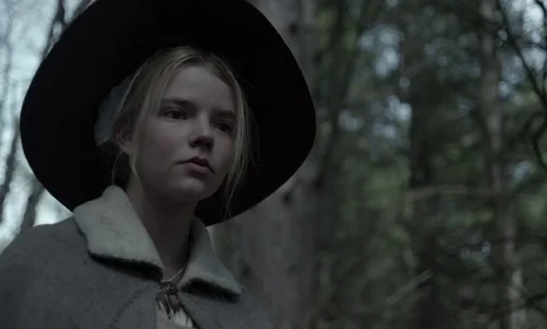 Still frame 40 from The Witch (2015) directed by Robert Eggers