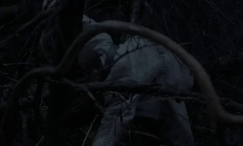 Still frame 48 from The Witch (2015) directed by Robert Eggers