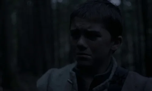 Still frame 46 from The Witch (2015) directed by Robert Eggers