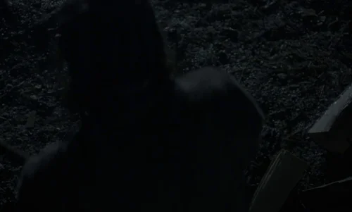 Still frame 52 from The Witch (2015) directed by Robert Eggers