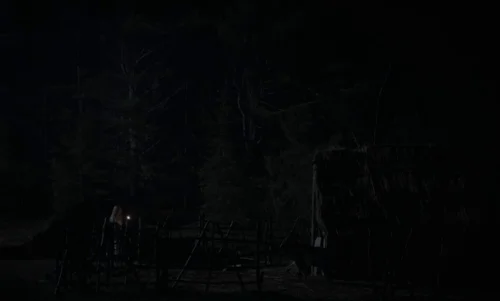 Still frame 91 from The Witch (2015) directed by Robert Eggers