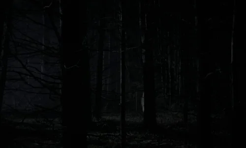 Still frame 92 from The Witch (2015) directed by Robert Eggers