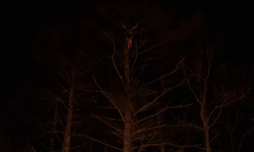 Still frame 94 from The Witch (2015) directed by Robert Eggers