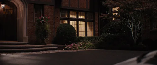 Still frame 145 from The Wolf of Wall Street (2013) directed by Martin Scorsese