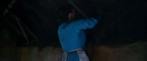 Still frame 17 from The Wonder (2022) directed by Sebastián Lelio