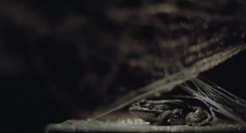 Still frame 181 from Thesis (1996) directed by Alejandro Amenábar