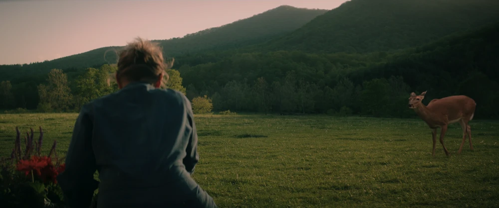 Still frame 86 from Three Billboards Outside Ebbing, Missouri (2017) directed by Martin McDonagh