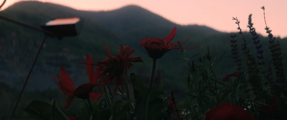 Still frame 131 from Three Billboards Outside Ebbing, Missouri (2017) directed by Martin McDonagh