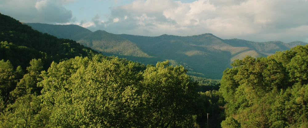Still frame 173 from Three Billboards Outside Ebbing, Missouri (2017) directed by Martin McDonagh