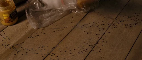 Still frame 33 from Tideland (2005) directed by Terry Gilliam