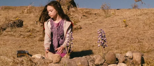 Still frame 39 from Tideland (2005) directed by Terry Gilliam