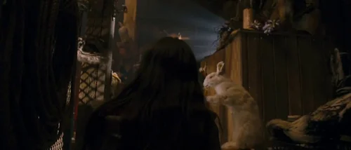 Still frame 65 from Tideland (2005) directed by Terry Gilliam