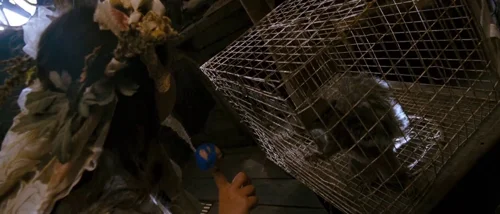 Still frame 111 from Tideland (2005) directed by Terry Gilliam
