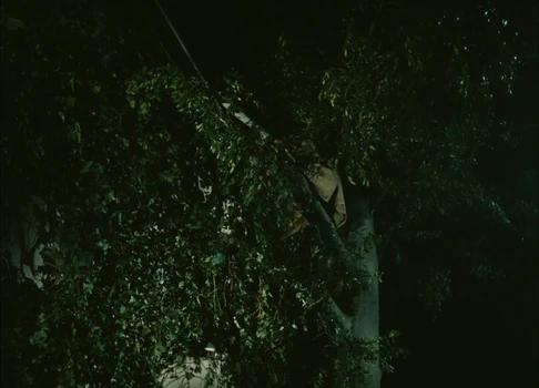 Still frame 232 from Traffic (1971) directed by Jacques Tati