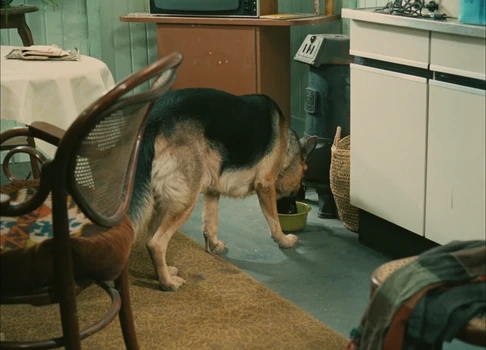 Still frame 253 from Traffic (1971) directed by Jacques Tati