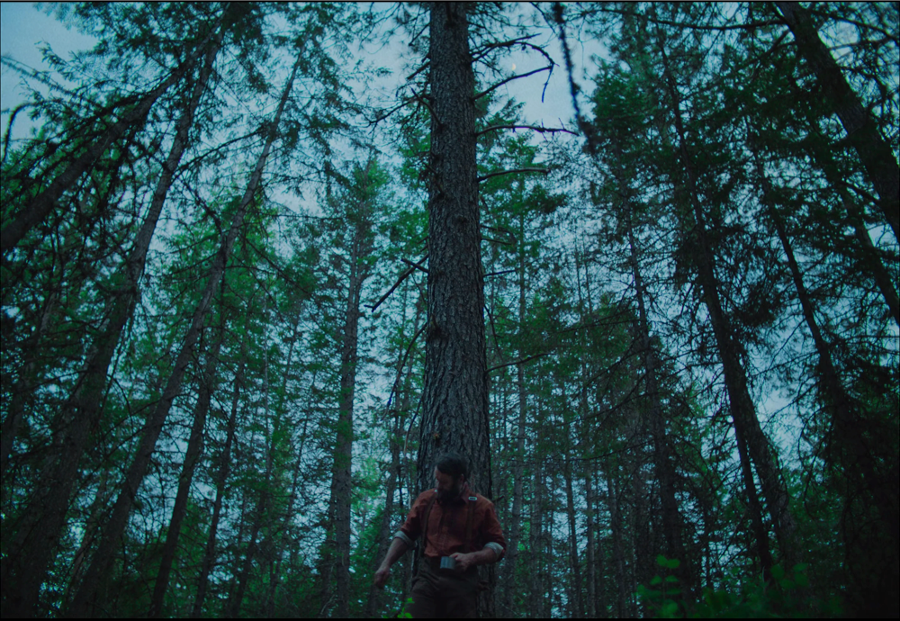 Train Dreams (2025) - Film Stills and Frames